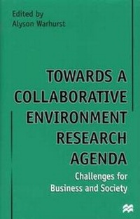 Enlarge image Cover: Towards a Collaborative Environment Research Agenda - Palgrave MacMillan