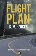 Cover: Flight Plan - Dawnrigger Publishing