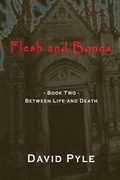 Cover: Flesh and Bones - David\Pyle