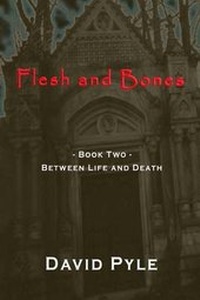 Enlarge image Cover: Flesh and Bones - David\Pyle