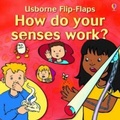 Cover: How do your senses work? - Usborne Publishing Ltd