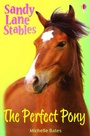 Cover: The Perfect Pony - Usborne Publishing Ltd