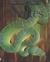 Enlarge image Cover: Snakes - Usborne Publishing Ltd