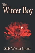 Cover: The Winter Boy - Pixel Hall Press