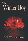 Cover: The Winter Boy - Pixel Hall Press