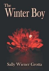 Enlarge image Cover: The Winter Boy - Pixel Hall Press