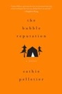 Cover: Bubble Reputation - Sourcebooks Landmark