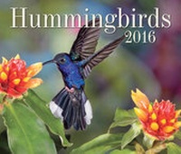 Enlarge image Cover: Hummingbirds 2016 - Firefly Books Ltd