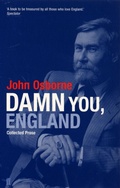 Cover: Damn You England - Faber & Faber