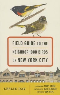 Abbildung von: Field Guide to the Neighborhood Birds of New York City - Johns Hopkins University Press