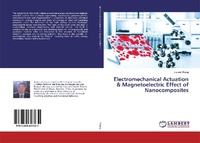Abbildung von: Multi-functional Nanocomposites for the Energy Conversion - LAP Lambert Academic Publishing