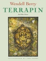 Cover: Terrapin - Counterpoint