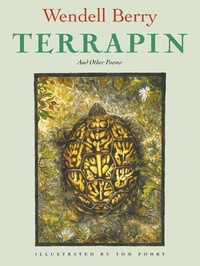 Enlarge image Cover: Terrapin - Counterpoint