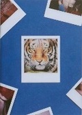 Cover: TIGER - POGO BOOKS
