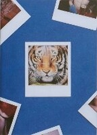 Enlarge image Cover: TIGER - POGO BOOKS