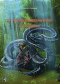 Cover: Die Dunkelmagierchroniken - W&ouml;lfchen Verlag