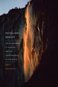 Enlarge image Cover: Excellent Beauty - Columbia University Press