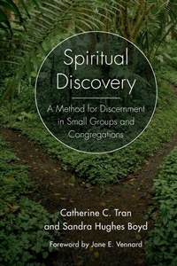 Enlarge image Cover: Spiritual Discovery - Alban Institute, Inc