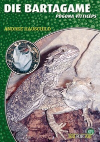 Abbildung von: Die Bartagame - Natur und Tier