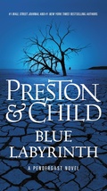 Cover: Blue Labyrinth - Grand Central Publishing