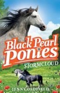 Cover: Stormcloud - Hodder Children's Books