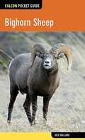 Cover: Bighorn Sheep - Simon + Schuster LLC