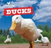 Enlarge image Cover: Ducks - PowerKids Press