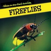 Enlarge image Cover: Fireflies - PowerKids Press