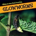 Cover: Glowworms - PowerKids Press
