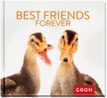 Cover: Best friends forever - Groh