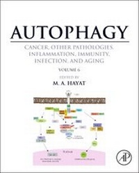 Abbildung von: Autophagy: Cancer, Other Pathologies, Inflammation, Immunity, Infection, and Aging - Academic Press