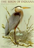 Cover: Birds of Indiana - Indiana University Press