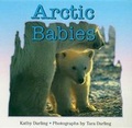 Cover: Arctic Babies - Walker & Co