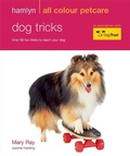 Cover: Dog Tricks - Hamlyn