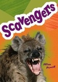 Cover: Pocket Facts Year 5: Scavengers - Ginn