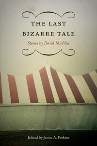 Enlarge image Cover: The Last Bizarre Tale - University of Tennessee Press