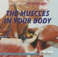 Enlarge image Cover: The Muscles in Your Body - Rosen Education Service