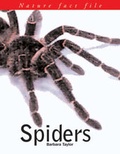 Cover: Nature Fact File on Spiders - Southwater