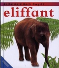 Cover: Cyfres Anifeiliaid Bach Gwyllt: Eliffant - Gomer Press