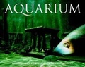 Cover: Aquarium - Aperture