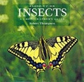 Cover: Close-up on Insects - Guild of Master Craftsman Publications Ltd