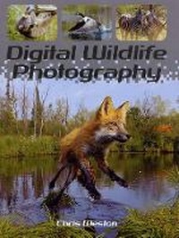 Abbildung von: Digital Wildlife Photography - Photographers' Institute Press
