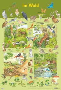 Enlarge image Cover: Mein Lernposter: Im Wald - Nelson