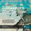 Cover: Schneesturm &uuml;ber der Insel - Lindhardt og Ringhof Forlag