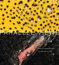 Cover: Parallel Views: Italian and Japanese Art from the 1950s, 60s and - Damiani