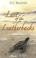Cover: Last of the Leatherbacks - Matador