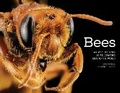 Cover: Bees - Voyageur Press