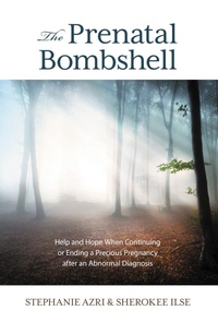 Enlarge image Cover: The Prenatal Bombshell - Rowman & Littlefield