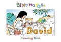 Cover: Bible Heroes David - Christian Focus 4Kids