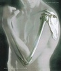 Cover: Human Anatomy - Pearson